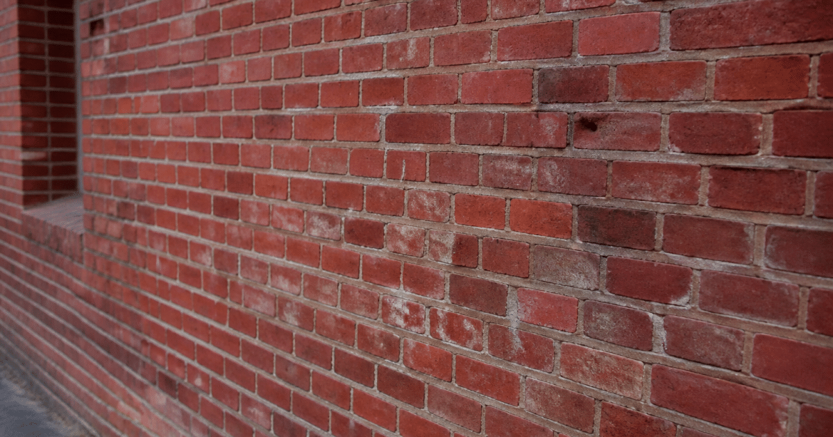 mur intérieur recouvert briques rouges texturées visibles
