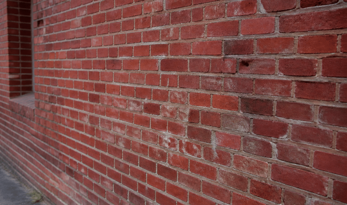mur intérieur recouvert briques rouges texturées visibles