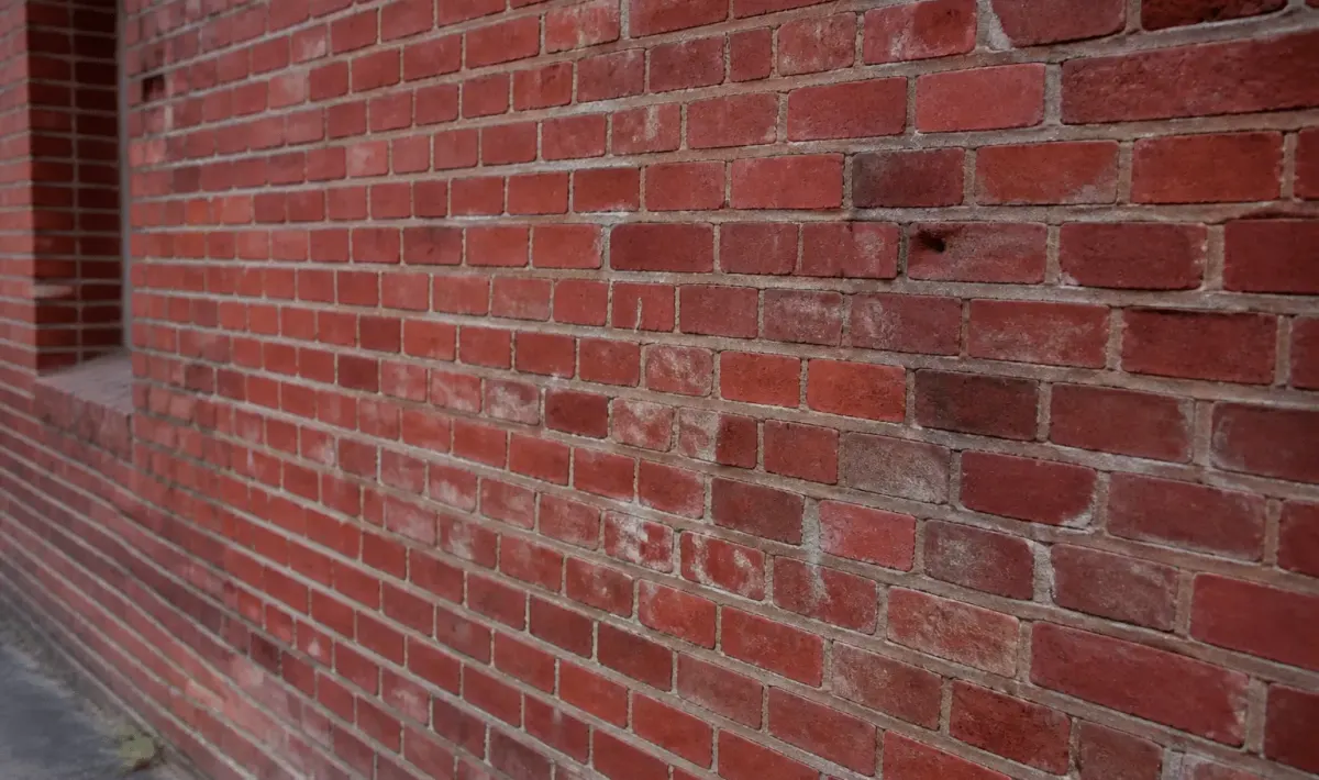 mur intérieur recouvert briques rouges texturées visibles