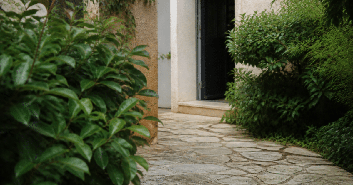 Terrasse pavee avec plantes vertes bordant entree maison