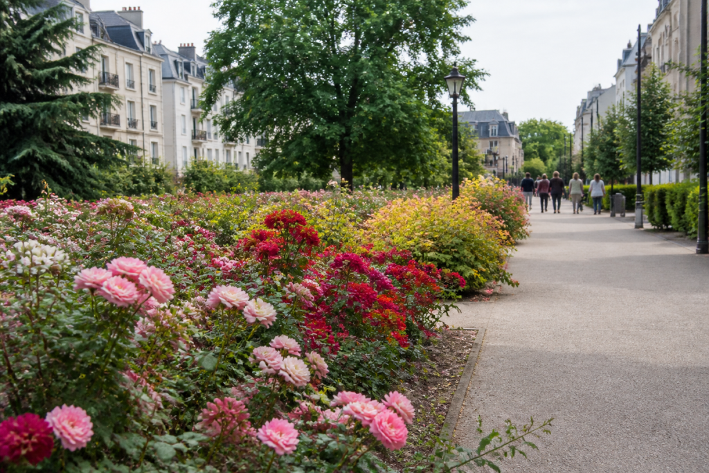 roses parc maisons residentielles centre anime boutiques