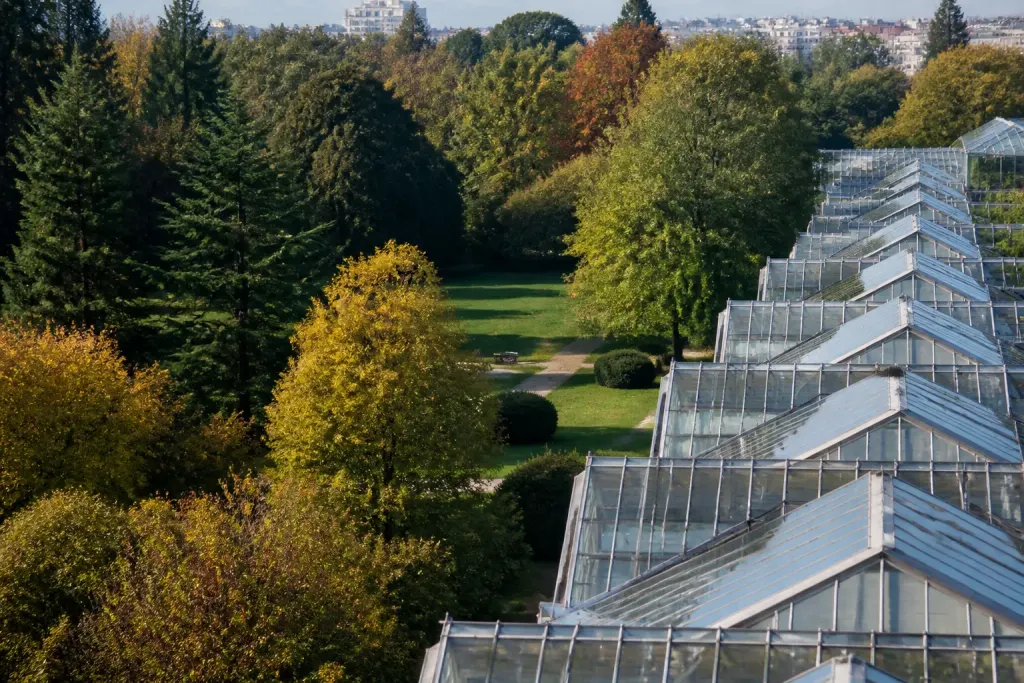Immeubles serres bordant un parc arbore vu du ciel