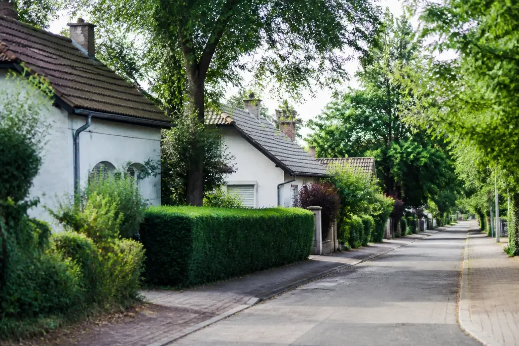 Maisons individuelles jardins arbres rues paysage verdoyant